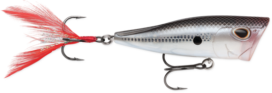 Storm Arashi Cover Pop