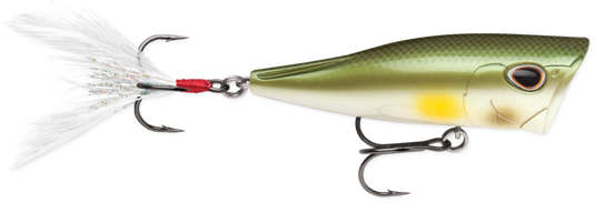 Storm Arashi Cover Pop