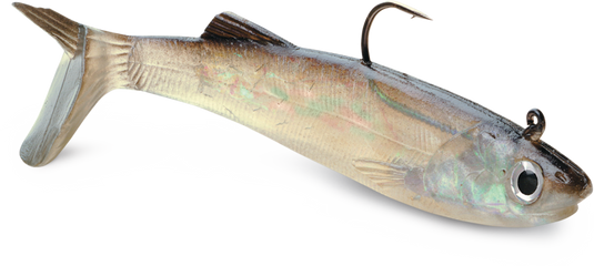 Storm WildEye® Live Anchovy