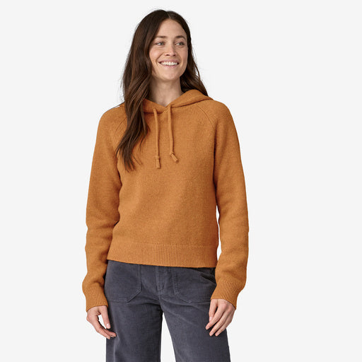 Patagonia Women's Recycled Wool-Blend Hooded Pullover Sweater