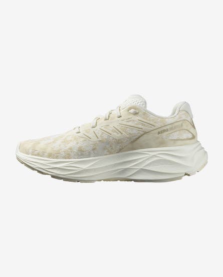 Load image into Gallery viewer, Salomon Women's Aero Glide 2