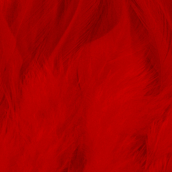 Load image into Gallery viewer, Shor Hackle 3"-5"