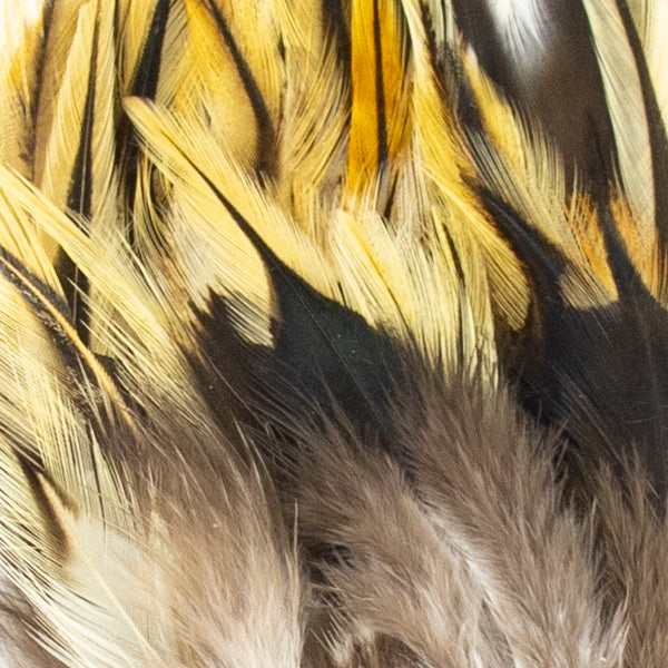 Load image into Gallery viewer, Shor Hackle 3"-5"