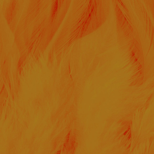Load image into Gallery viewer, Shor Hackle 3"-5"