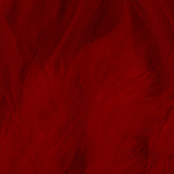 Load image into Gallery viewer, Shor Hackle 3"-5"