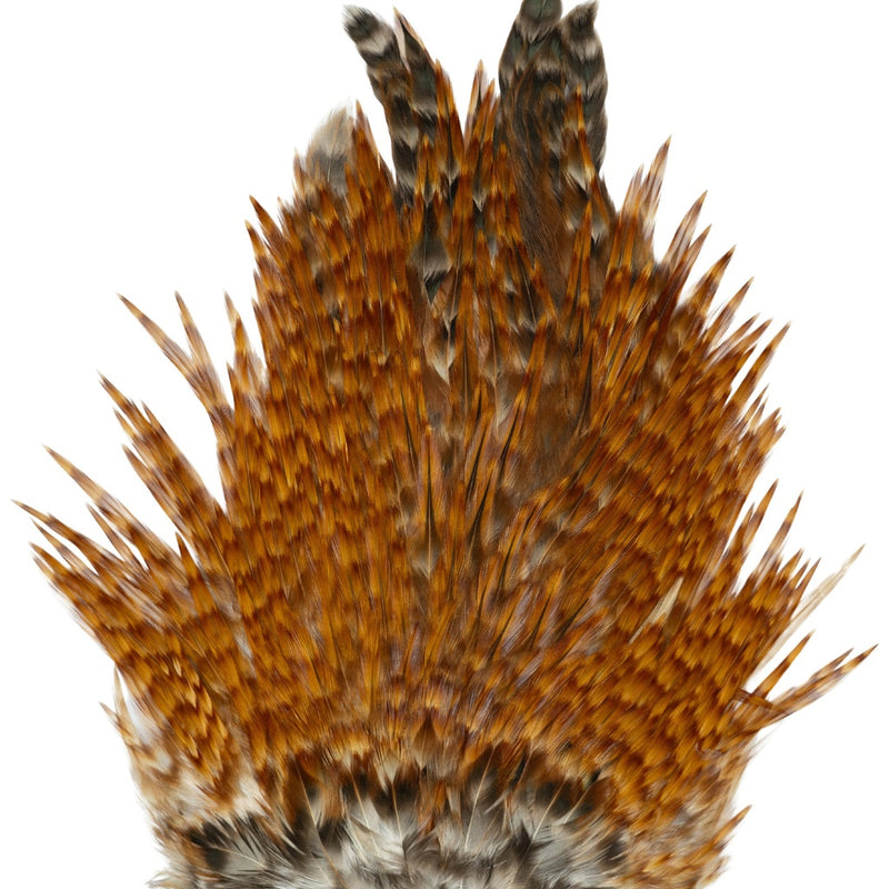 Load image into Gallery viewer, SHOR - ROOSTER SADDLE (Shipping only in Canada)