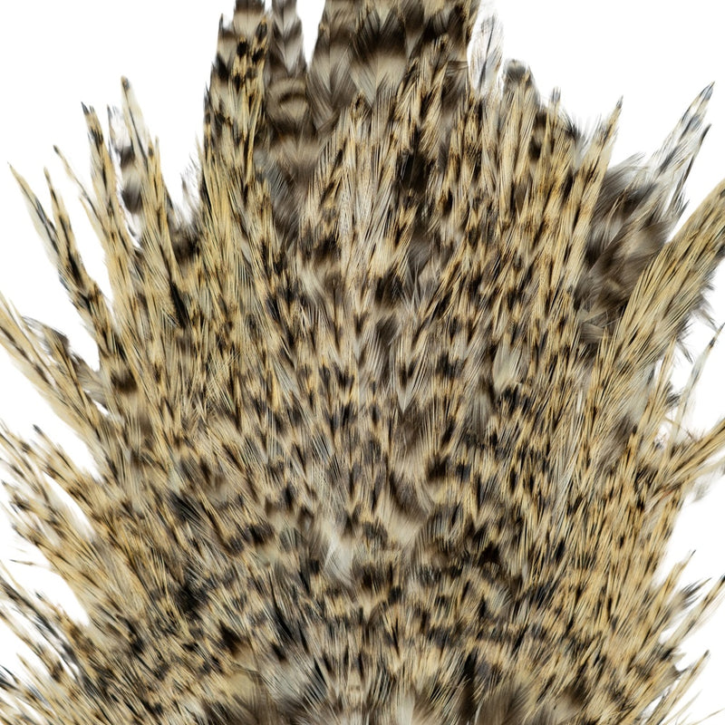 Load image into Gallery viewer, SHOR - ROOSTER SADDLE (Shipping only in Canada)