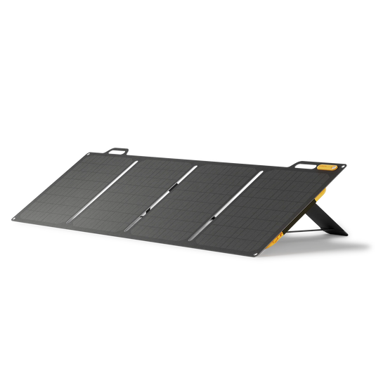 BioLite Solar Panel 100