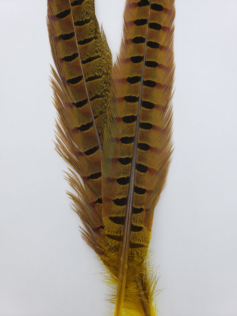 Load image into Gallery viewer, Wapsi Ringneck Pheasant Tail Pair