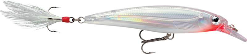 Load image into Gallery viewer, Rapala X-Rap Countdown