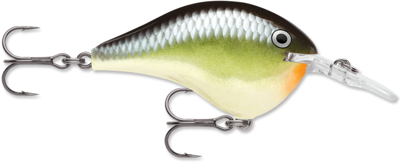 Load image into Gallery viewer, Rapala DT Series