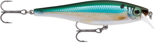 Rapala BX Minnow Series