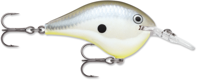 Load image into Gallery viewer, Rapala DT Series