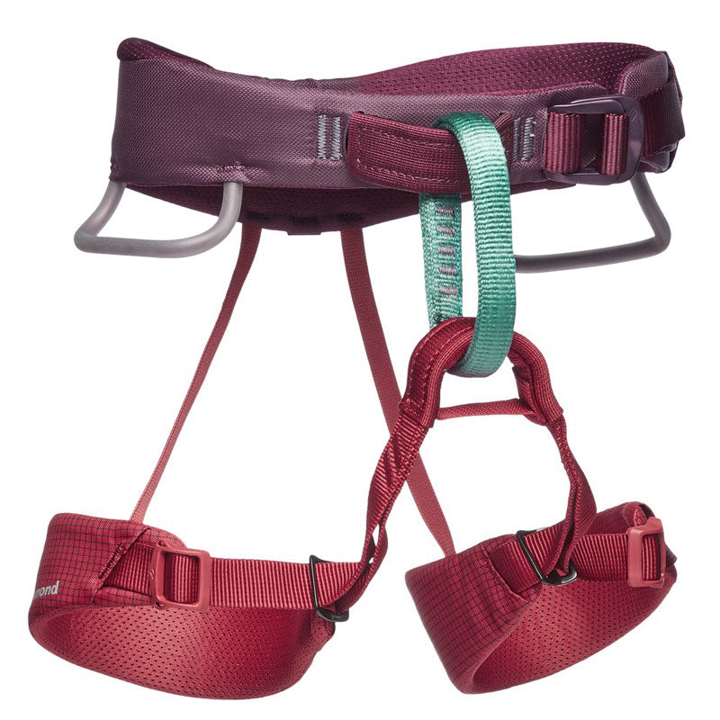 Load image into Gallery viewer, Black Diamond Momentum Harness - Kid's