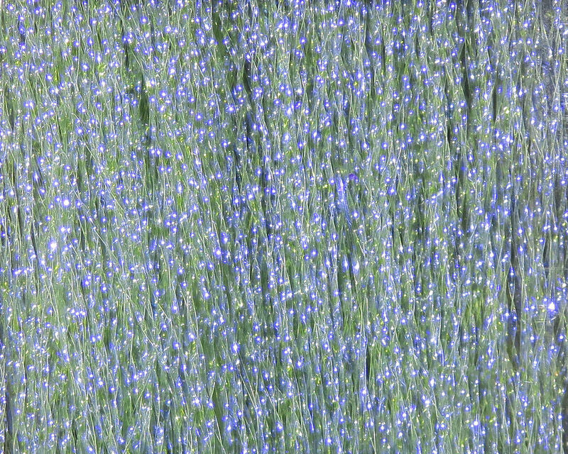 Load image into Gallery viewer, TW Crystal Flash