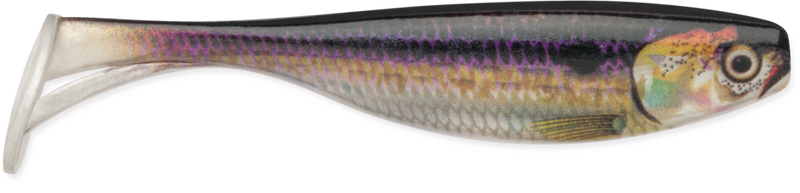 Load image into Gallery viewer, Storm Largo Shad