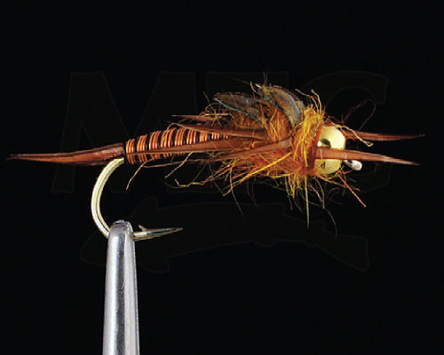Copperback Stone - Copper