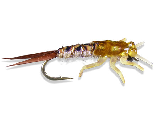 Tungsten B.H. Soft Shell Stone - Golden