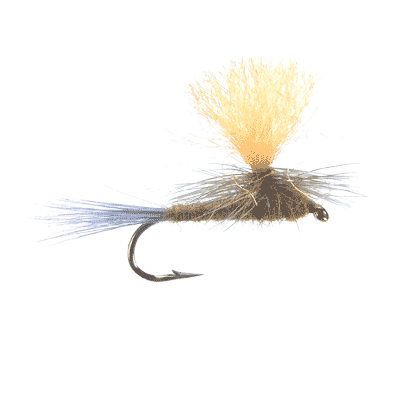 Hi-Vis Parachute BWO