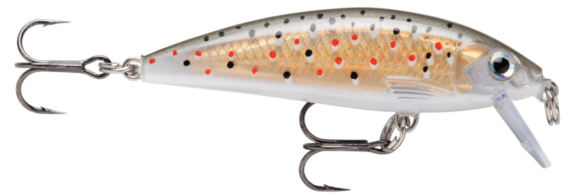 Load image into Gallery viewer, Rapala X-Rap Countdown