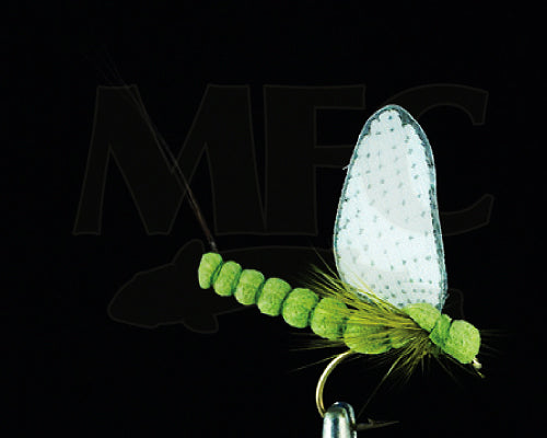 Ibrahim's Wonder Wing Green Drake