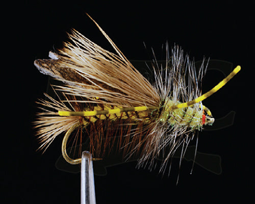 Stimi Chew-Toy - Yellow