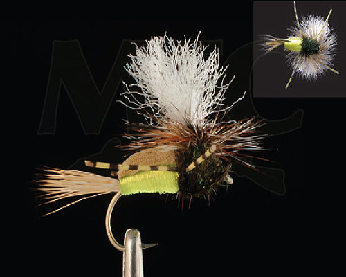 Para Humpy - Royal Yellow
