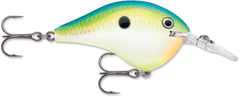 Load image into Gallery viewer, Rapala DT Series