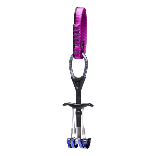 Black Diamond Camalot C4