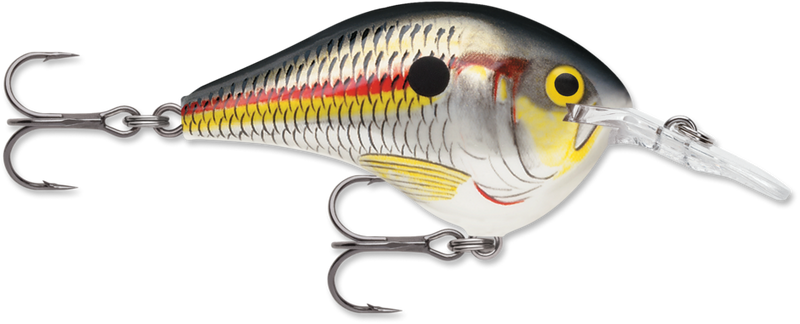 Load image into Gallery viewer, Rapala DT Series