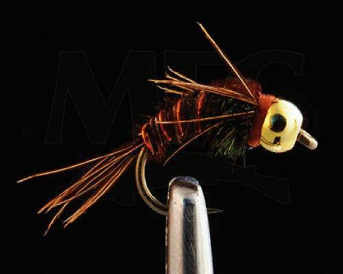CN Tungsten Pheasant Tail Flashback