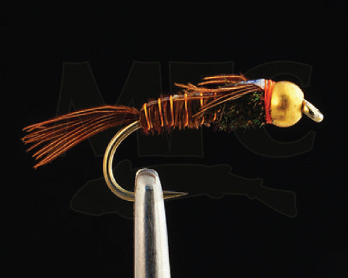 BH Pheasant Tail Flashback Nymph
