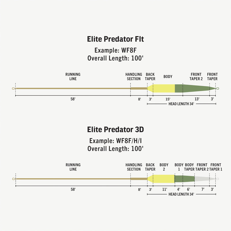 Load image into Gallery viewer, Rio Elite Predator Fly Line
