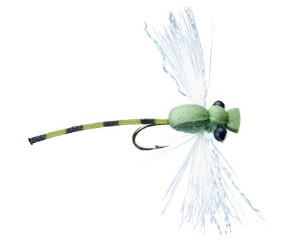Adult Damsel
