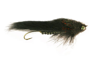 Wiese's Scleech Fly