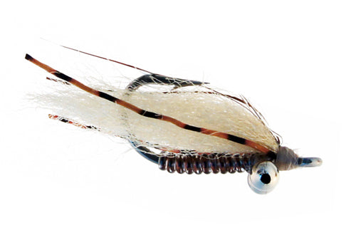 Sexy Charlie Fly