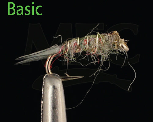 Sow Bug