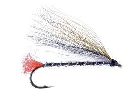 Black Nose Dace Streamer