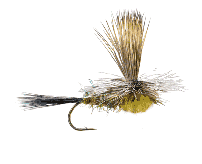 Clook's Beefcake Hecuba