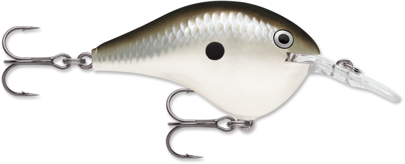 Load image into Gallery viewer, Rapala DT Series