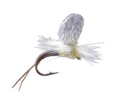 Trina's Etha Wing Emerger