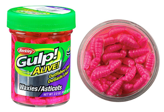 Load image into Gallery viewer, Berkley Gulp Alive Waxies