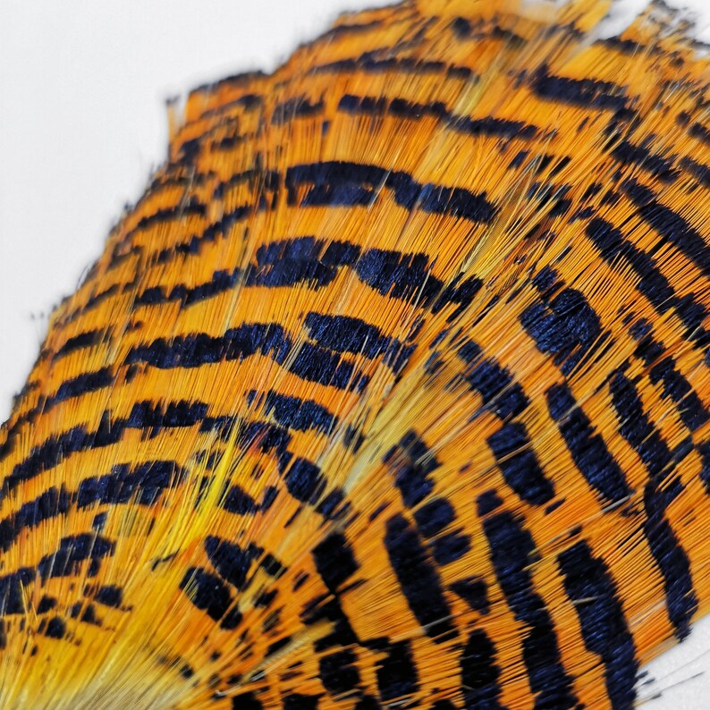 Load image into Gallery viewer, Shor Golden Pheasant Tippet Grade #2 (Shipping only in Canada)