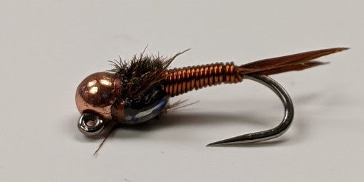 Jig Expoxyback Copper Nymph #14
