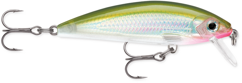 Load image into Gallery viewer, Rapala X-Rap Countdown