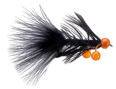 Brewer Egg Regurgitating Leech