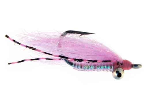 Sexy Charlie Fly