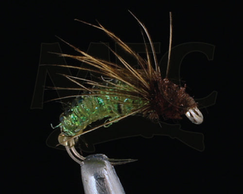 Silverman's Caddis Larva