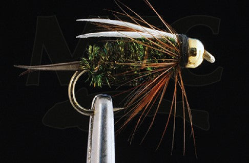 CN Tungsten Prince Nymph