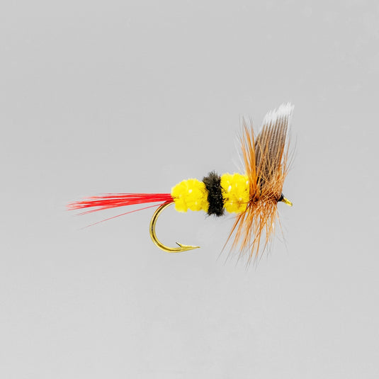NEPTUNE FLIES - Bee